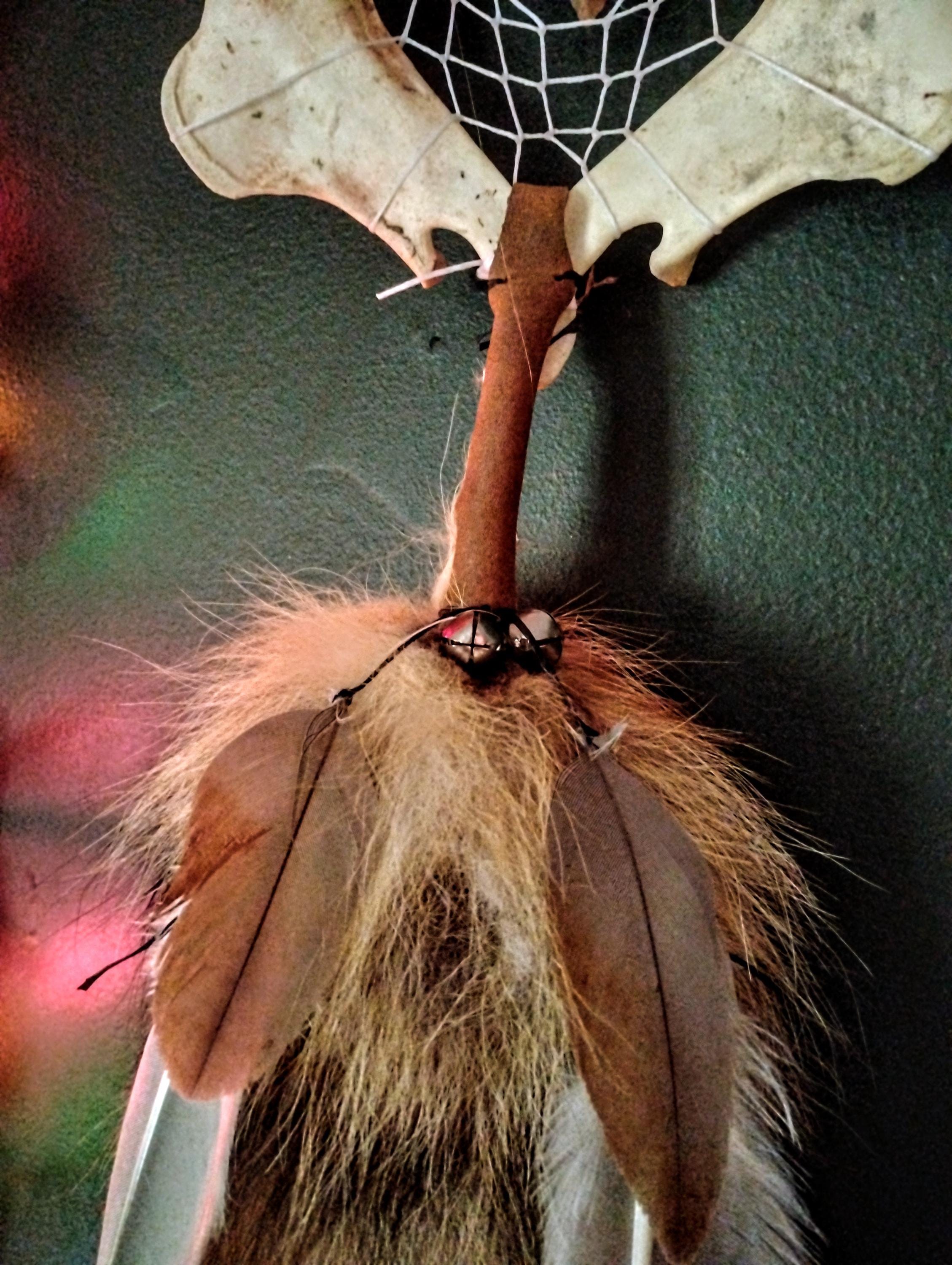 Bone Dream Catcher