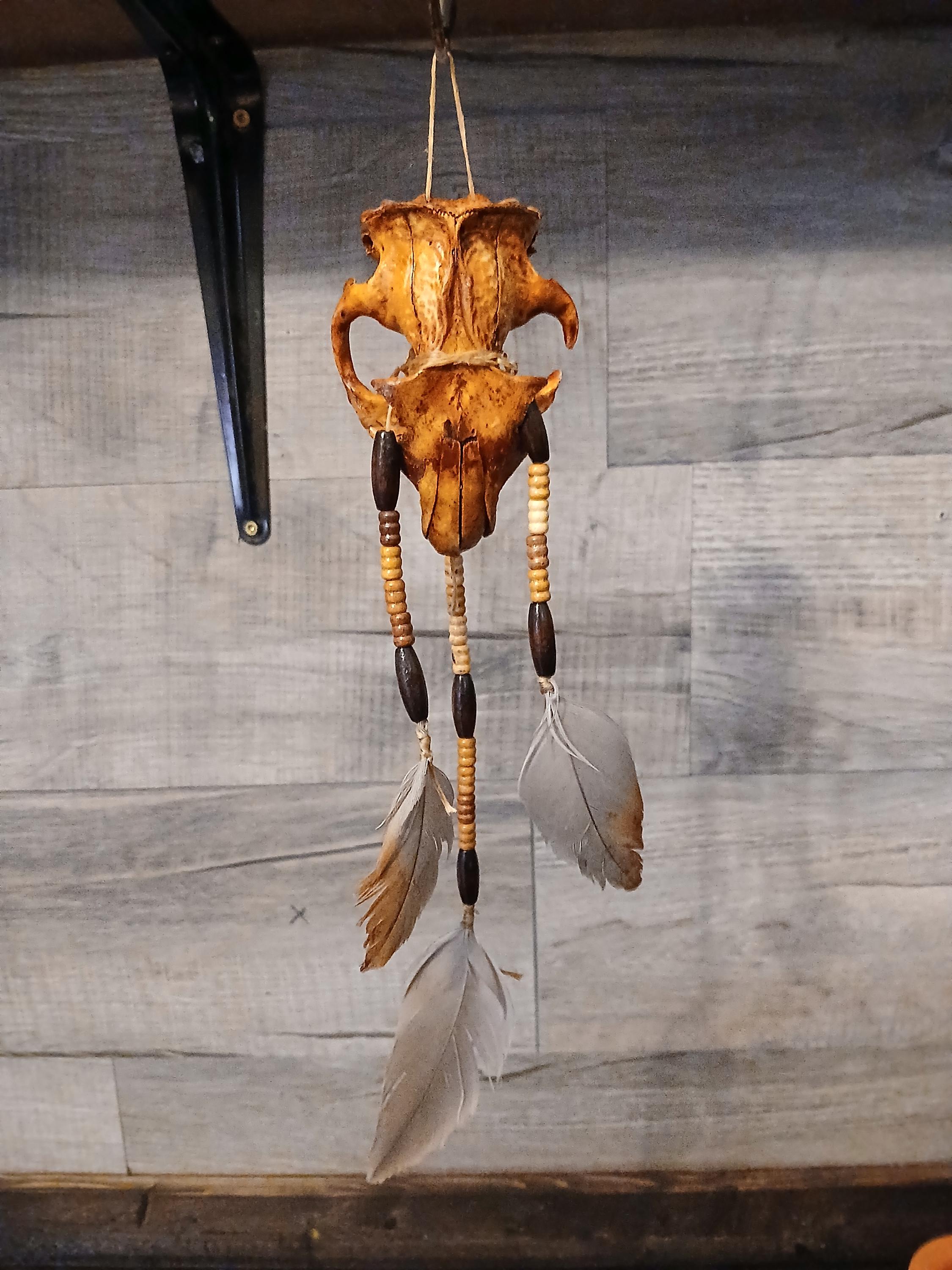 Bone Dream Catcher