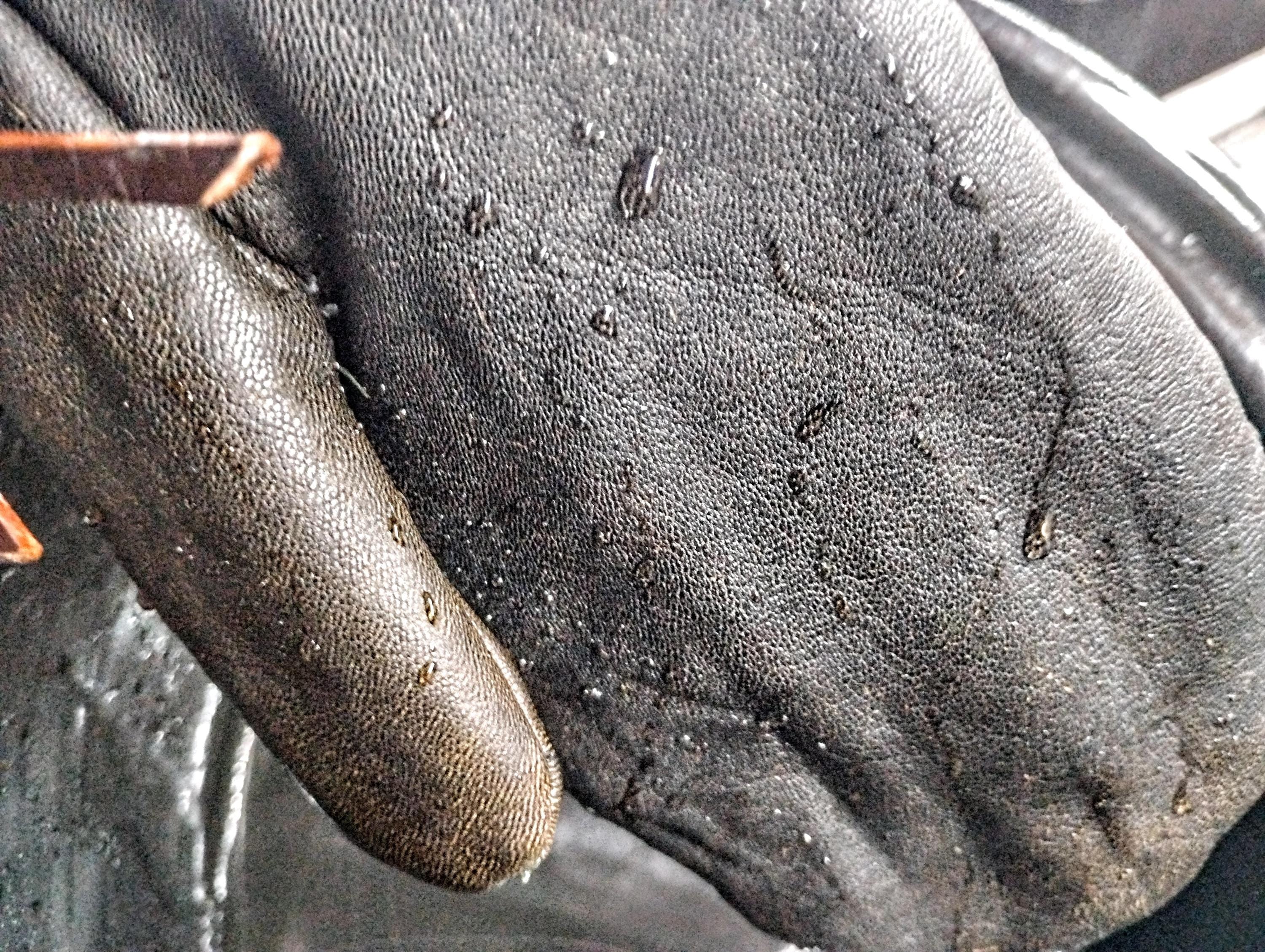 Waxed Canvas, Leather mittens.